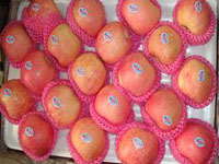 FuJi Apple