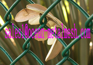 Chain link fence