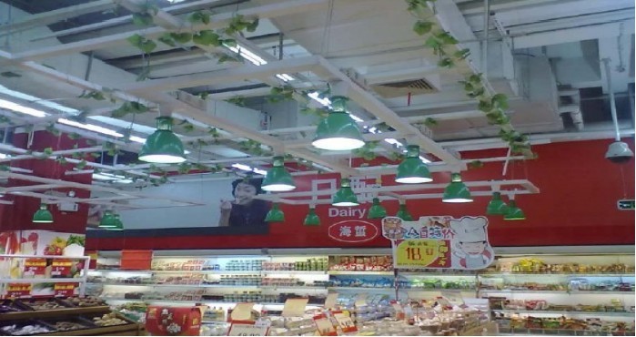 LED supermarket light for vegetables and fruit