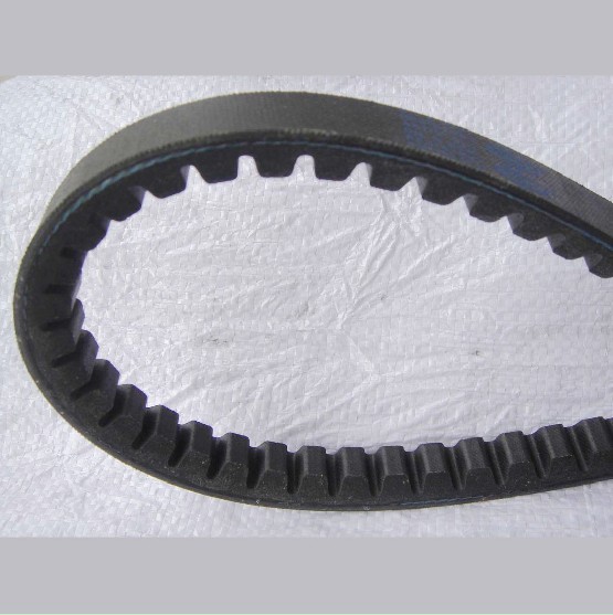 Raw edge cogged v belt