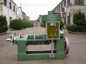 oil press machine 6YL-95