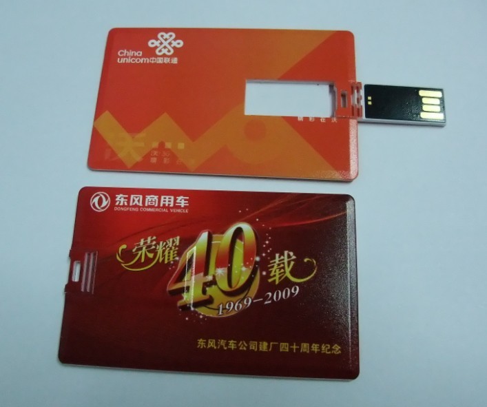 Promotion Gift USB
