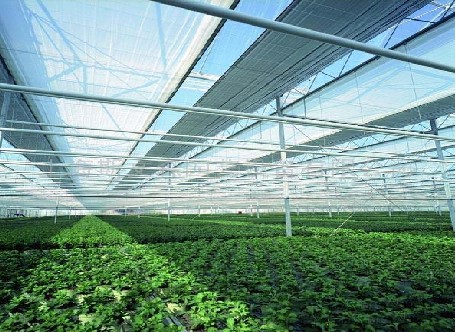 UV coated sunshade cloth