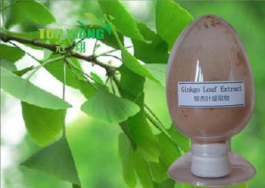 Ginkgo Leaf Extract