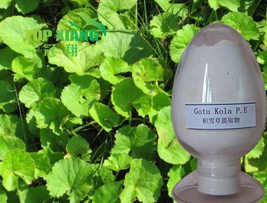 gotu kola