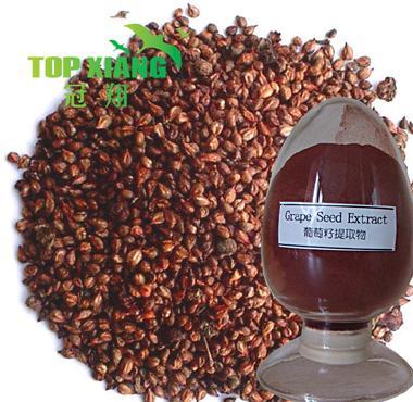Grape Seed Extract