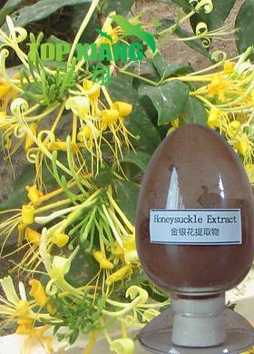 Honeysuckle Extract