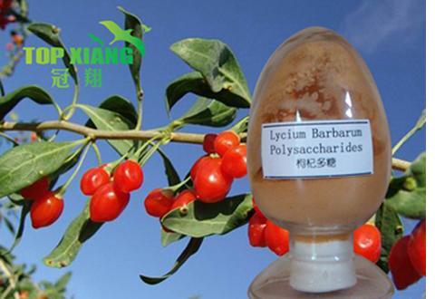 Medlar Extract