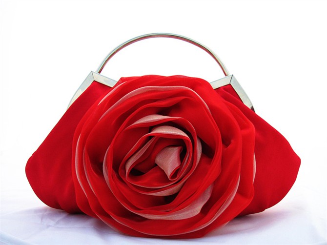 evening bag