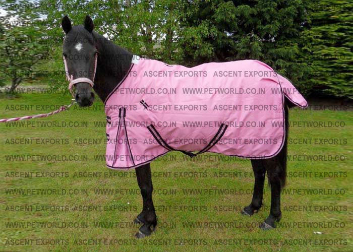 Winter Horse Rugs