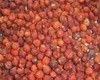 iqf wild rose hip