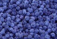 iqf wild blueberry
