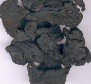 Rehmannia(Cooked) Extract