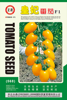 Golden tomato seed