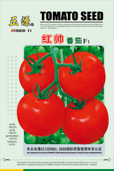 Tomato Seed