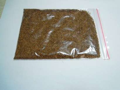kiwi seeds