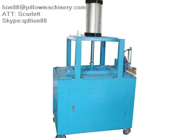 Pillow vacuum packing machine