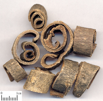 magnolia bark extract 90%