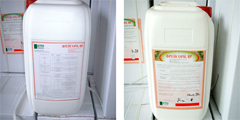 Glyphosate 95% TC and 41%IPA