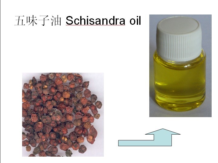 schisandra oil by SFE-CO2