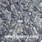 Sunflower seed extract