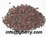 Semen Pharbitidis(Morning Glory Seed) extract