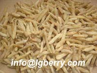Radix Ophiopogonis(Lilyturf Root) extract