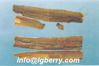 Phellodendron Amurense Extract