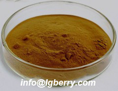 Elecampane Root extract