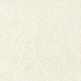 Polished Floor Tile