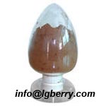 Corn Silk Extract