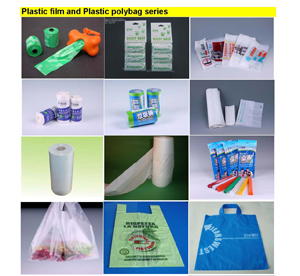 biodegradable plastic bag