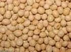 Phosphatidylserine