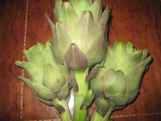 Artichokes