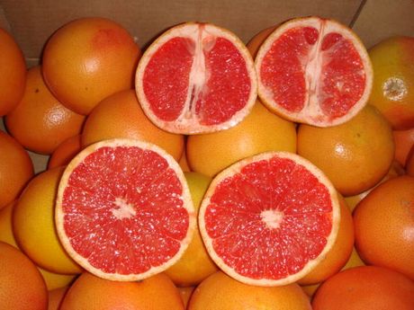 Grapefruits