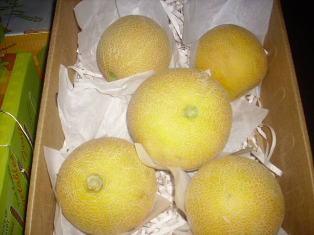 Melon(cantaloupe)