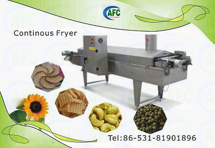 Continuous Fryer