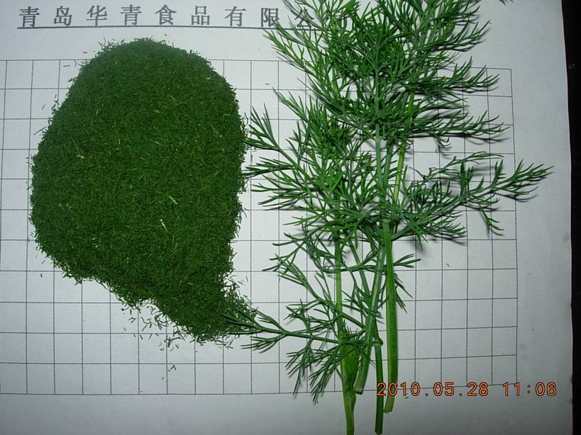 dried dill