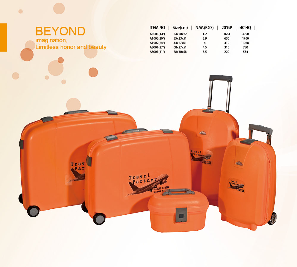 Lugggae and suitcase