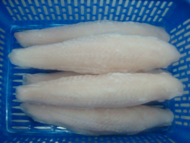 FROZEN PANGASIUS WELL TRIMMED FILLET, ROLL IN HALF