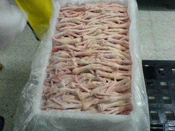 Quality Frozen Chicken Feet,Paws