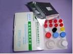 Porcine Circovirus ELISA Test Kit