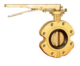 Wafer type two-way metal hard seal butterfly valve