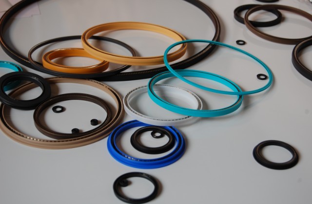 Rotary Seals