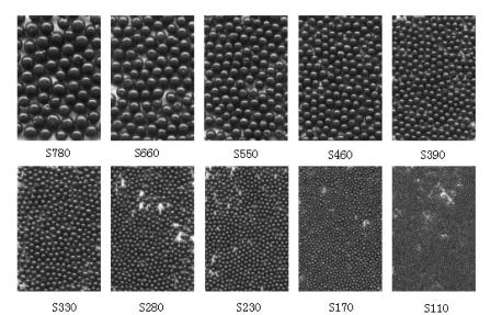 Steel Grit
