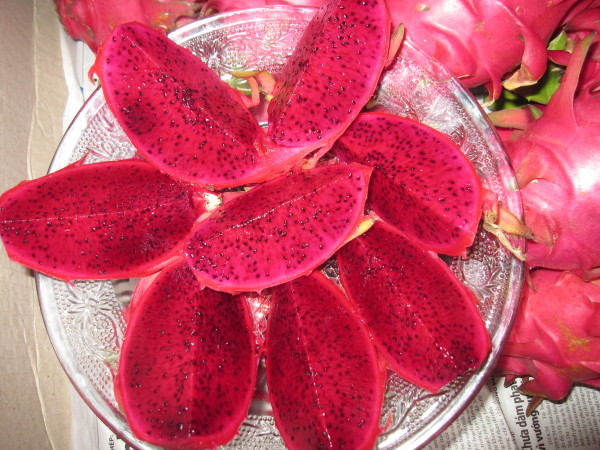 Fresh Fruit