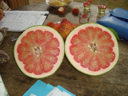 Pomelo