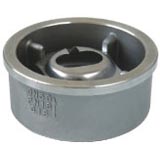 disk check valve