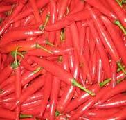 fresh chili, dried chili, chili powder