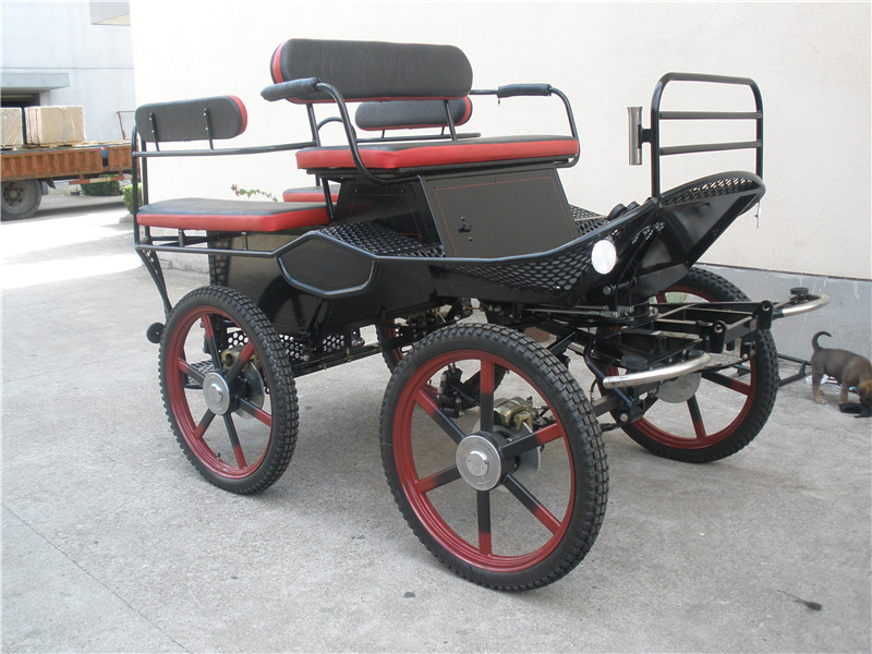 Marathon Horse Driving Carriage